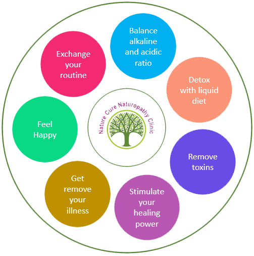 how naturopathy works?